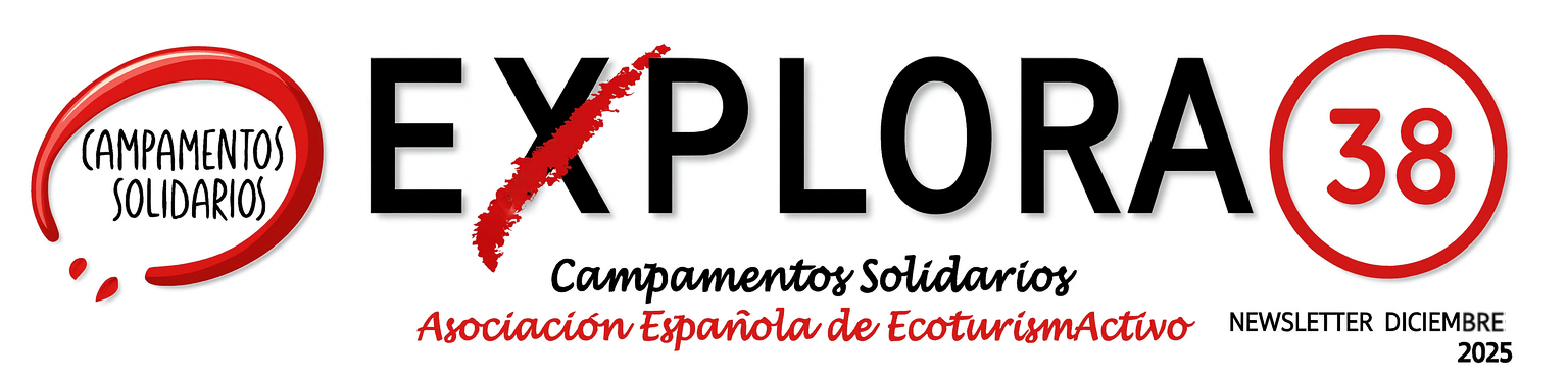 Cabecera Newsletter 38